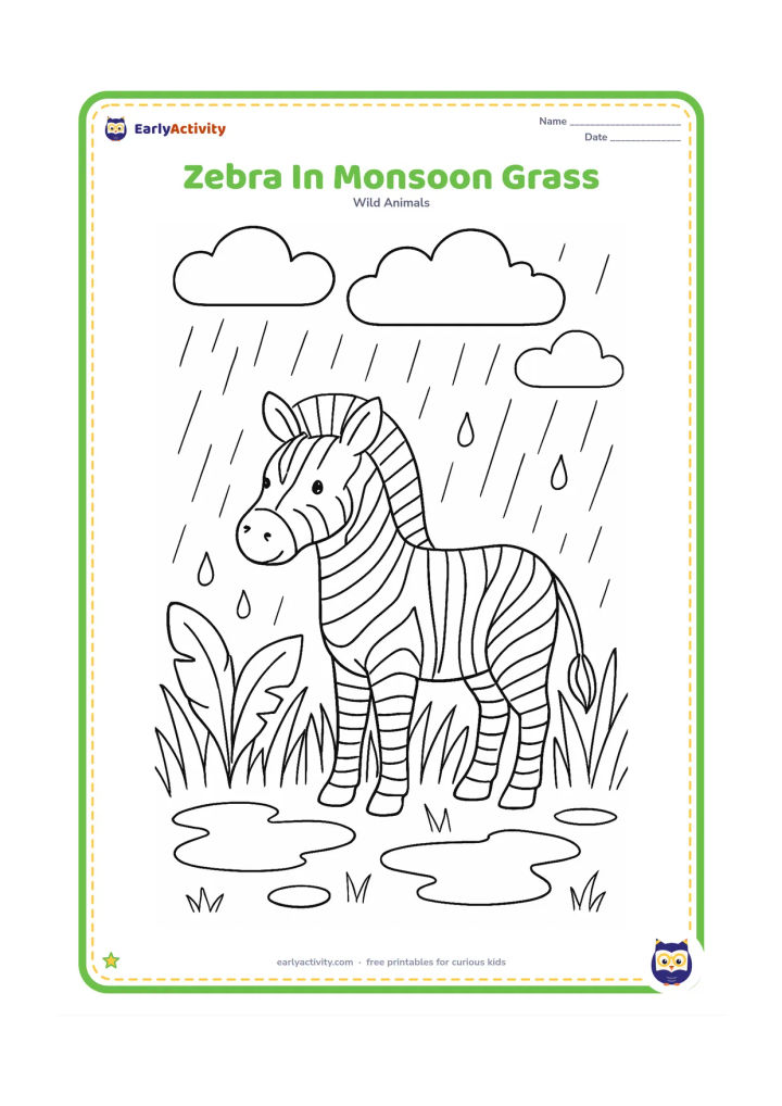 Colouring page: Draw one zebra standing in tall fresh grass beneath heavy rain clouds, with a few raindrops, puddles and broad tropical leaves nearby. Keep the zebra calm and fully visible.