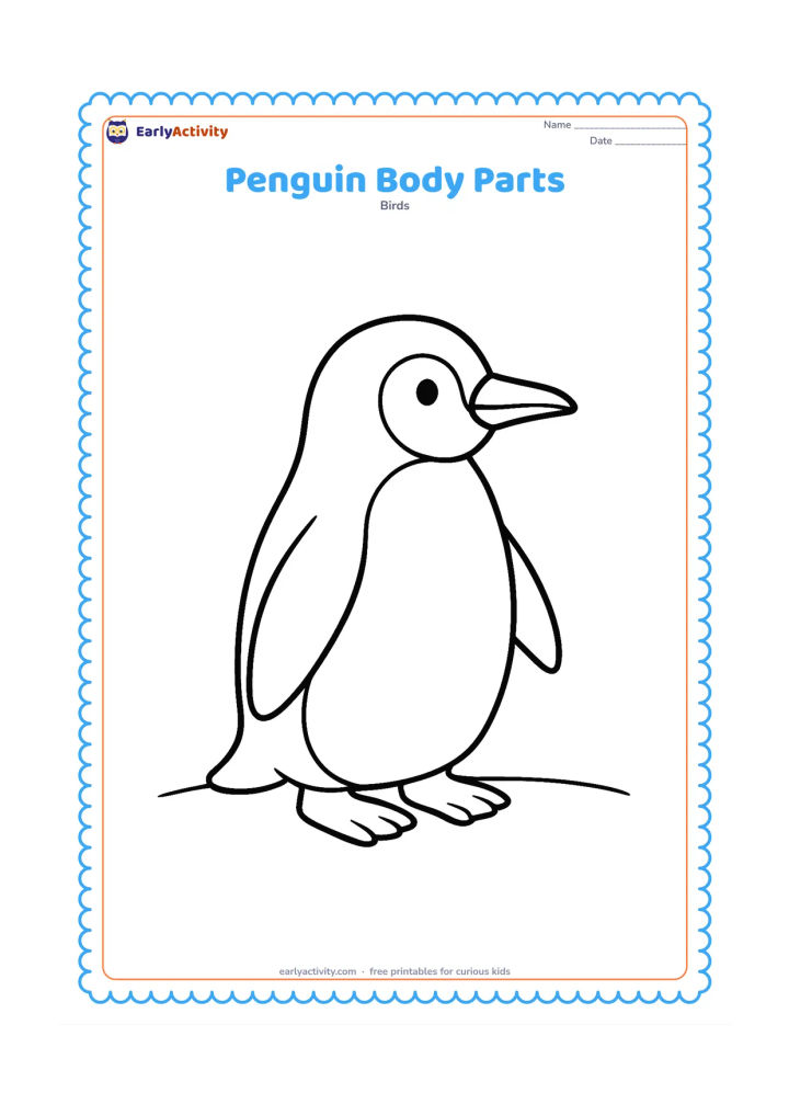 Colouring page: Draw one large side-facing penguin standing clearly so its head, beak, eye, wing, belly, feet, and tail are easy to see. Place it on a minimal snowy ground line with no labels or pointers.