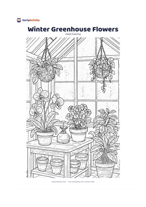 Colouring page: Draw an indoor greenhouse in winter with flowering orchids, geraniums, leafy seedlings and hanging plants. Add frosted windowpanes, a potting bench, plant pots and a small hand mister.