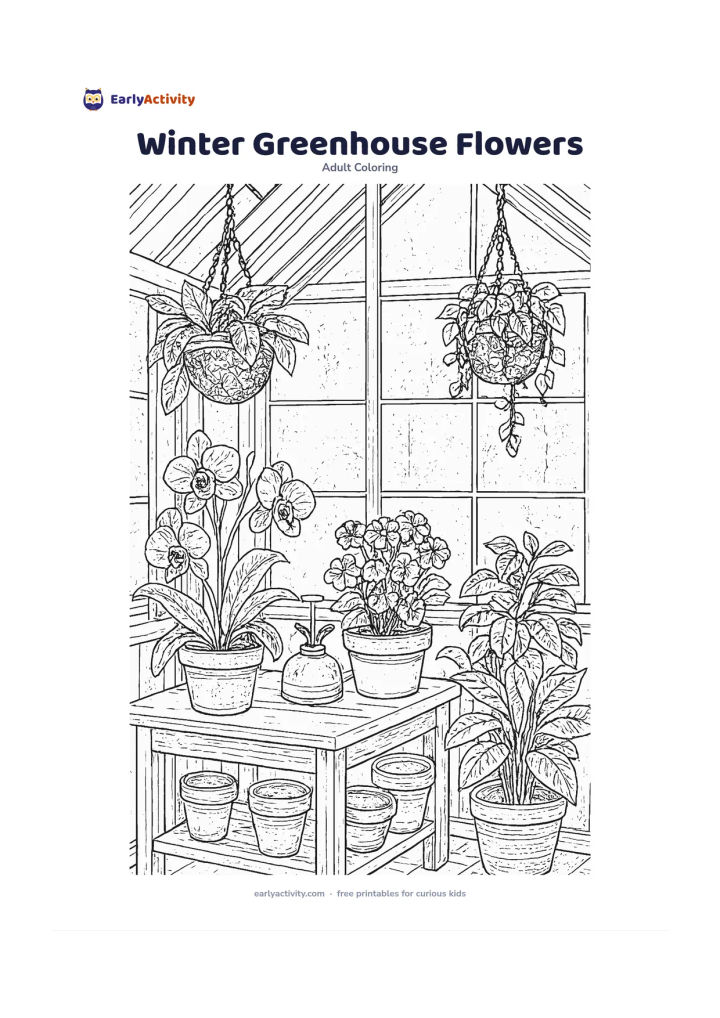 Colouring page: Draw an indoor greenhouse in winter with flowering orchids, geraniums, leafy seedlings and hanging plants. Add frosted windowpanes, a potting bench, plant pots and a small hand mister.