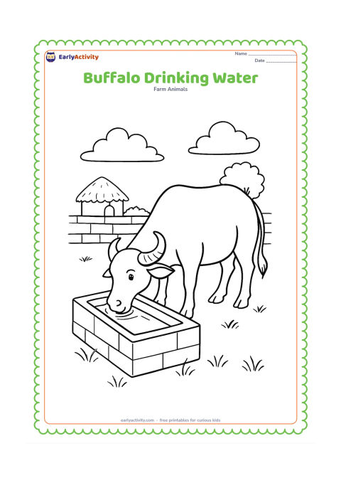 Colouring page: Draw a side-view buffalo bending its head to drink from a rectangular stone water trough. Place the trough in an Indian farmyard with a low wall, grass and a distant hut.