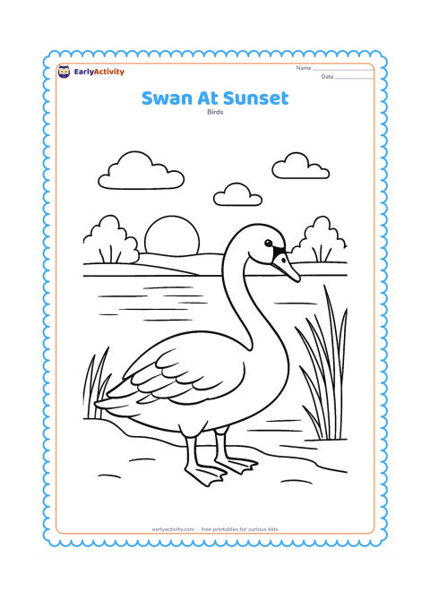 Colouring page: A swan stands at the edge of a lake at sunset, with a low sun, distant trees, tall grass, and long reflections across the water. Show the bird in side view.