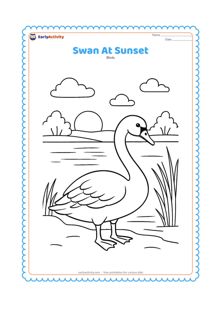 Colouring page: A swan stands at the edge of a lake at sunset, with a low sun, distant trees, tall grass, and long reflections across the water. Show the bird in side view.