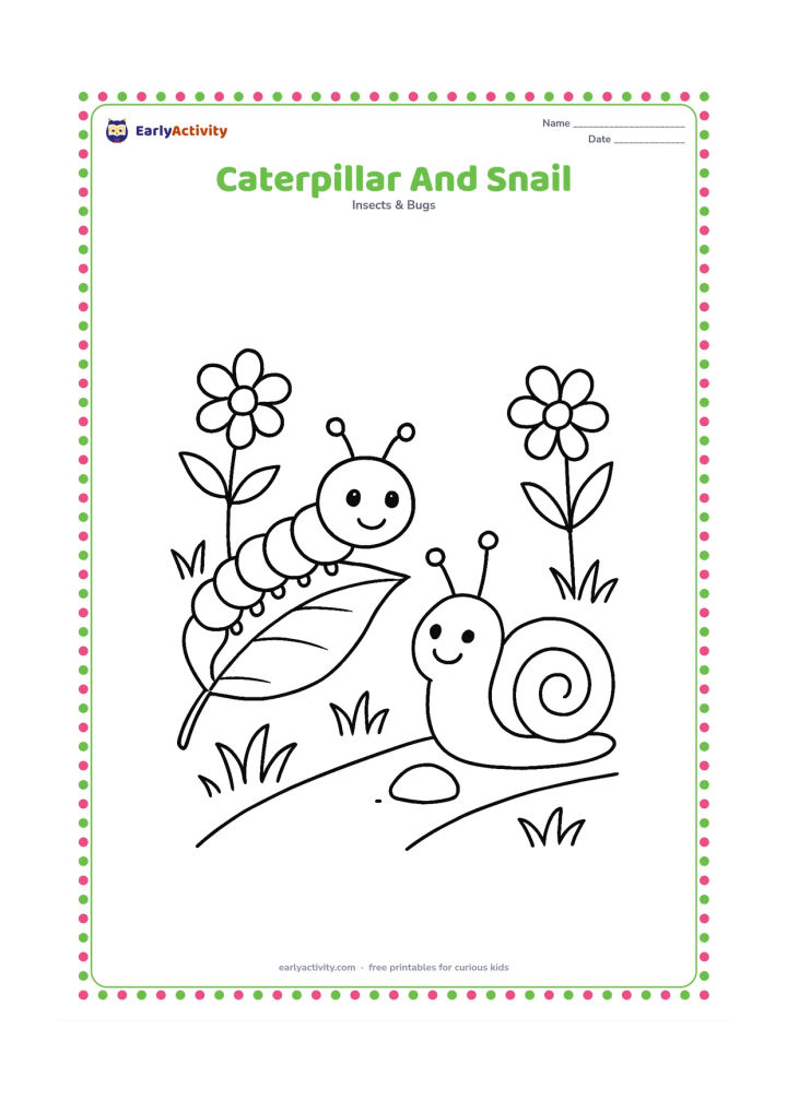 Colouring page: Draw a caterpillar and a smiling snail travelling along the same garden path, with the caterpillar on a leaf and the snail beside a small stone. Add grass and two simple flowers.