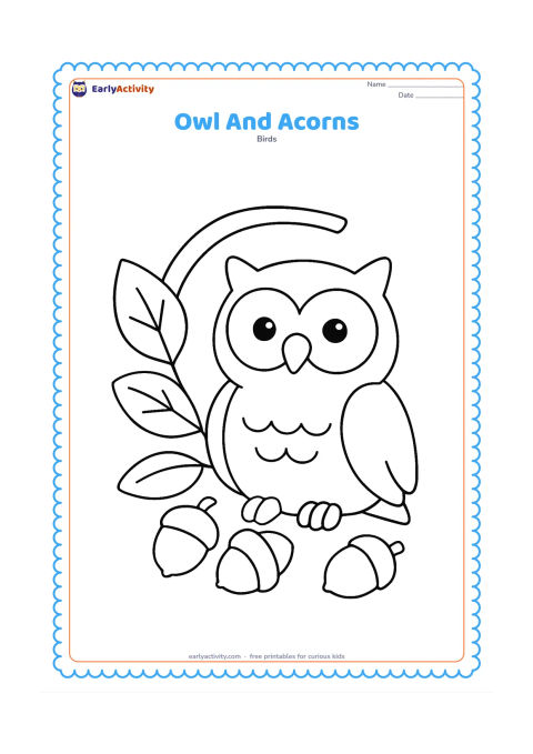 Colouring page: A seated owl rests beside two large leaves and three acorns on the ground, with a short curved branch behind it.