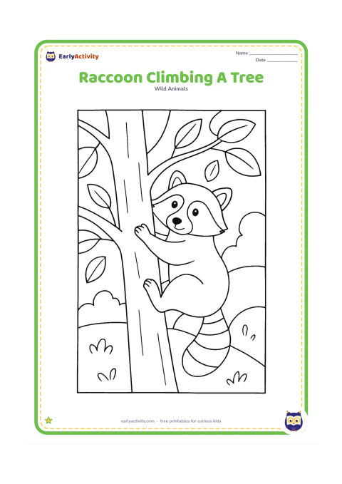 Colouring page: Draw a raccoon climbing diagonally up a sturdy tree trunk, gripping the bark with its front paws and placing its hind feet below. Include several large branches, leaves and a small…