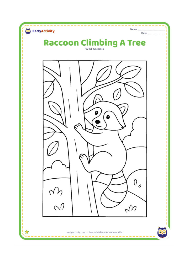 Colouring page: Draw a raccoon climbing diagonally up a sturdy tree trunk, gripping the bark with its front paws and placing its hind feet below. Include several large branches, leaves and a small…