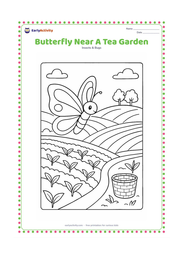 Colouring page: Draw a butterfly flying above neat rows of tea plants on a hillside, with a few distant trees and a woven basket near the path. Show the butterfly in a clear side-facing pose.
