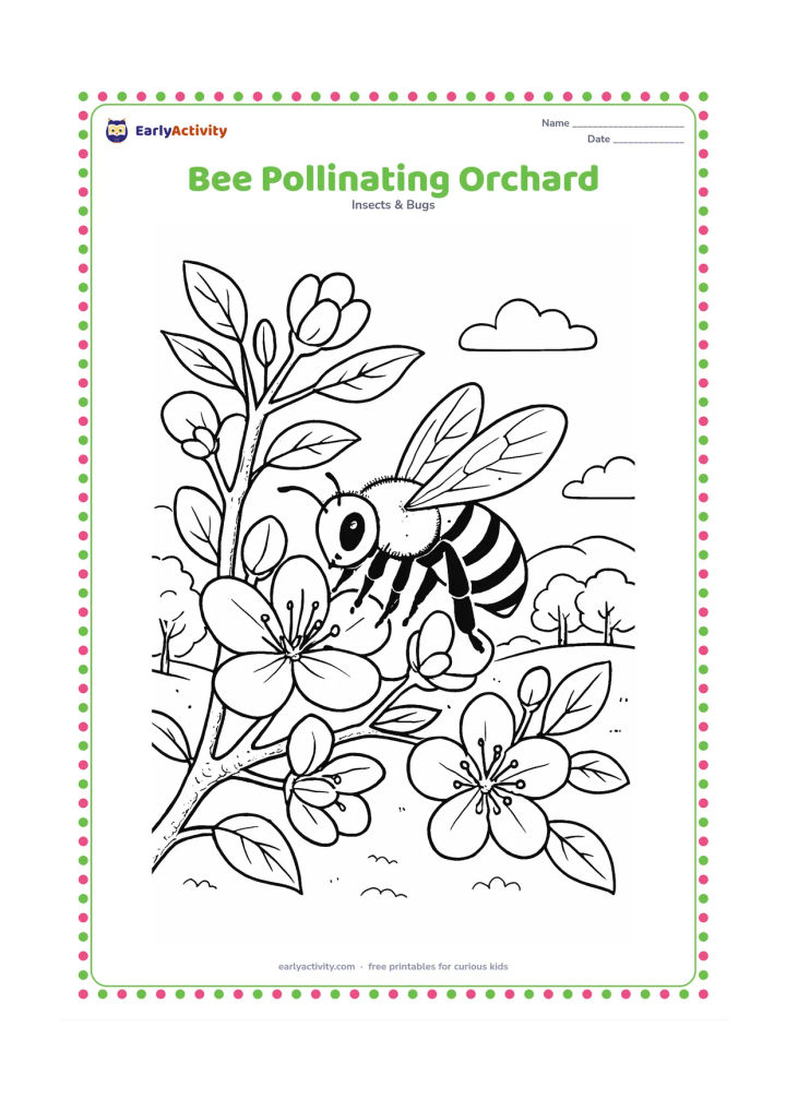 Colouring page: A bee moves between blossoms on a fruit tree branch, with open flowers, buds, leaves and a second branch behind it. Show pollen on the bee and a distant orchard landscape.
