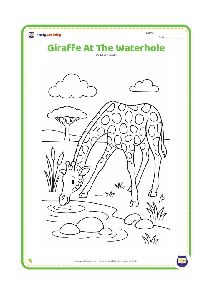 Colouring page: A giraffe bends its long legs and neck to drink from a small waterhole. Add reeds, smooth stones, grass, a distant acacia and a few ripples in the water.