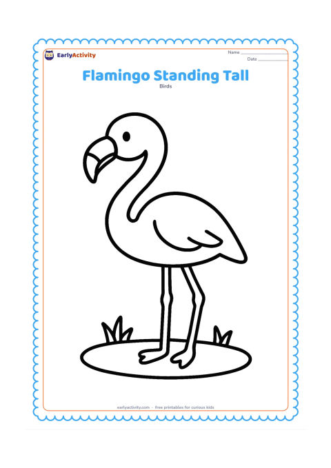 Colouring page: Draw one friendly flamingo standing upright with both legs visible, a gently curved neck and a closed bent bill. Place it on a simple patch of ground with one or two small grass tufts.