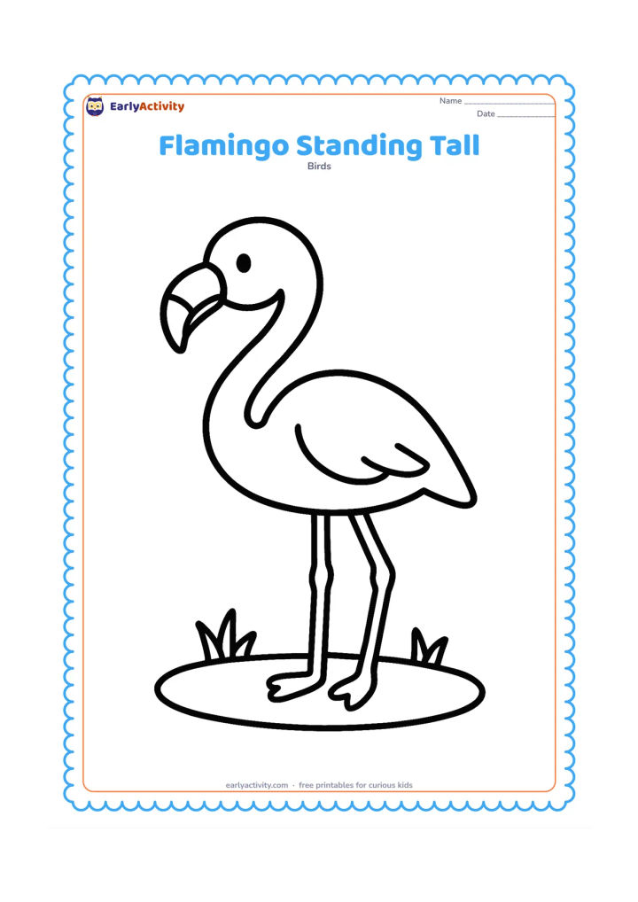 Colouring page: Draw one friendly flamingo standing upright with both legs visible, a gently curved neck and a closed bent bill. Place it on a simple patch of ground with one or two small grass tufts.
