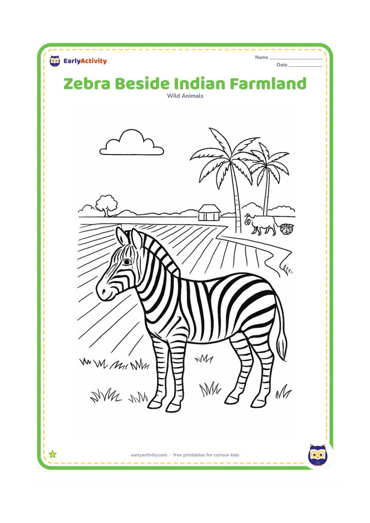 Colouring page: Draw one zebra standing on a grassy edge beside Indian farmland, with neat crop rows, a narrow irrigation channel, palm trees, a small distant hut and a bullock cart far in the…