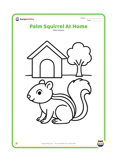 Colouring page: Draw an Indian palm squirrel standing near a simple house doorway and a small tree, with three clear pale back stripes and a bushy tail.