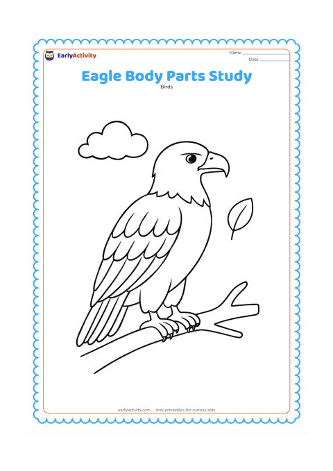 Colouring page: Draw a clear side-view eagle standing on a branch, showing its eye, hooked beak, folded wing, strong feet and tail. Arrange the bird in an open scene with one cloud and one leaf, leaving…