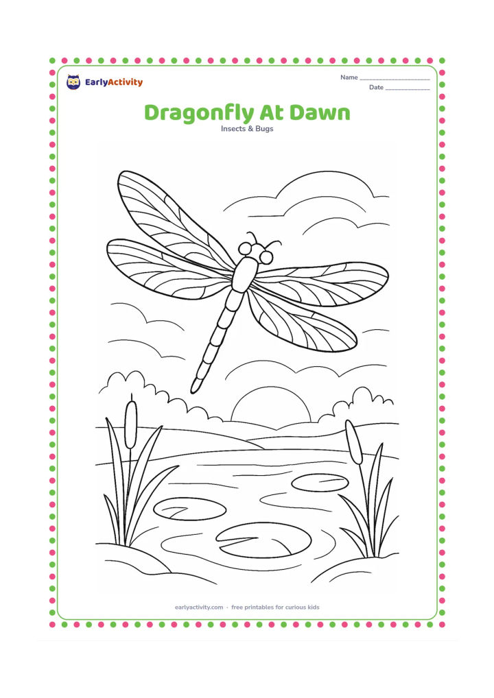 Colouring page: A dragonfly rises above a pond at dawn, with a low sun, misty curved lines, reeds, lily pads, and a distant tree line. Show the insect from below with its four wings spread symmetrically.