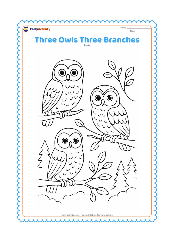 Colouring page: Three different owls sit on three separate branches arranged from low to high, showing varied body sizes, facial markings and feather patterns, with leaves and a distant forest.
