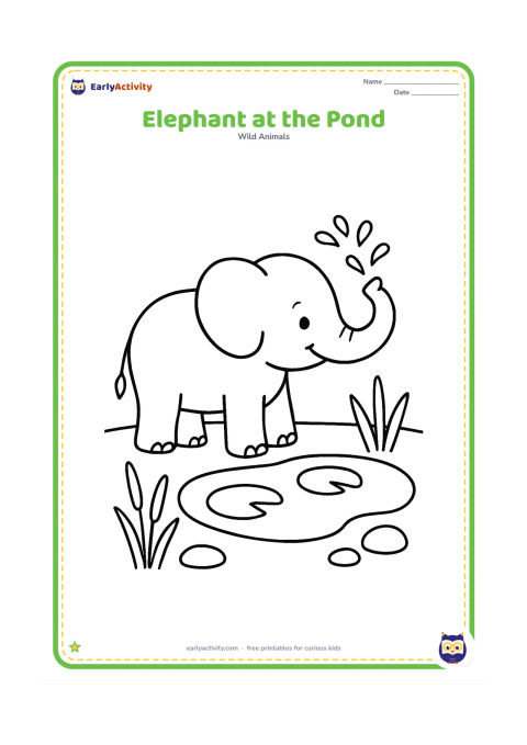 Colouring page: A friendly elephant stands beside a shallow pond, lifting its trunk toward a small spray of water. Add a few reeds, smooth stones and two lily pads around the large central animal.