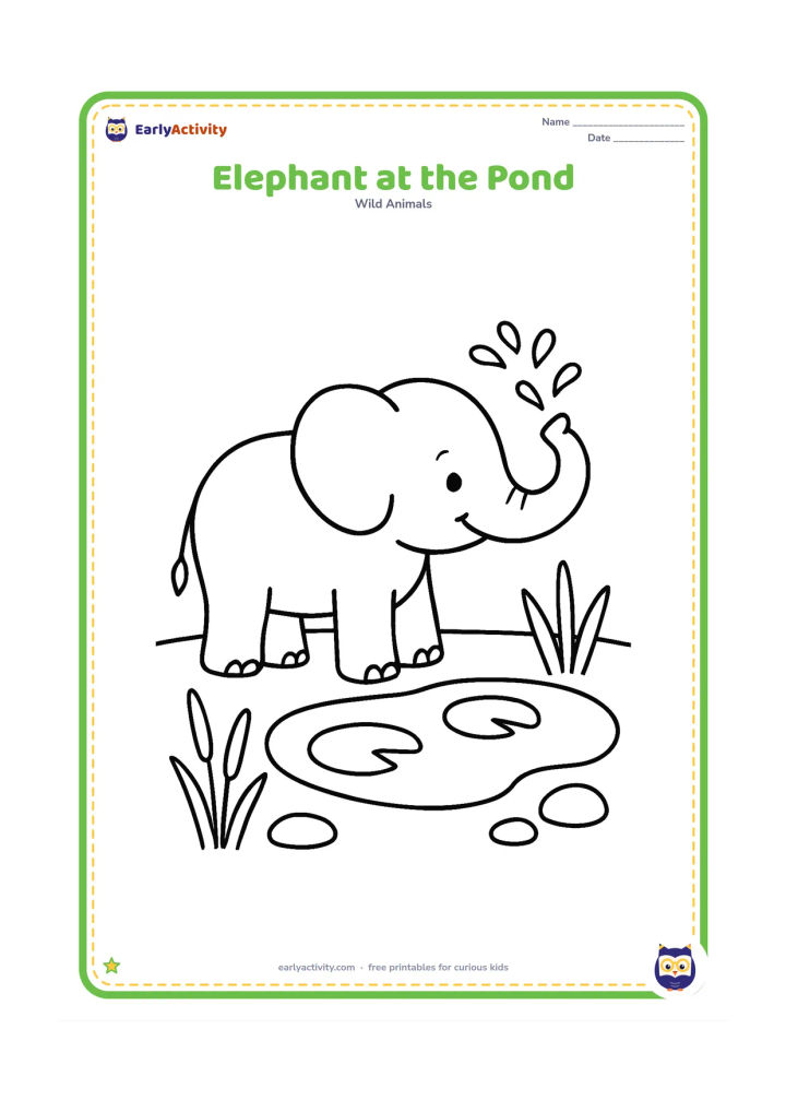 Colouring page: A friendly elephant stands beside a shallow pond, lifting its trunk toward a small spray of water. Add a few reeds, smooth stones and two lily pads around the large central animal.