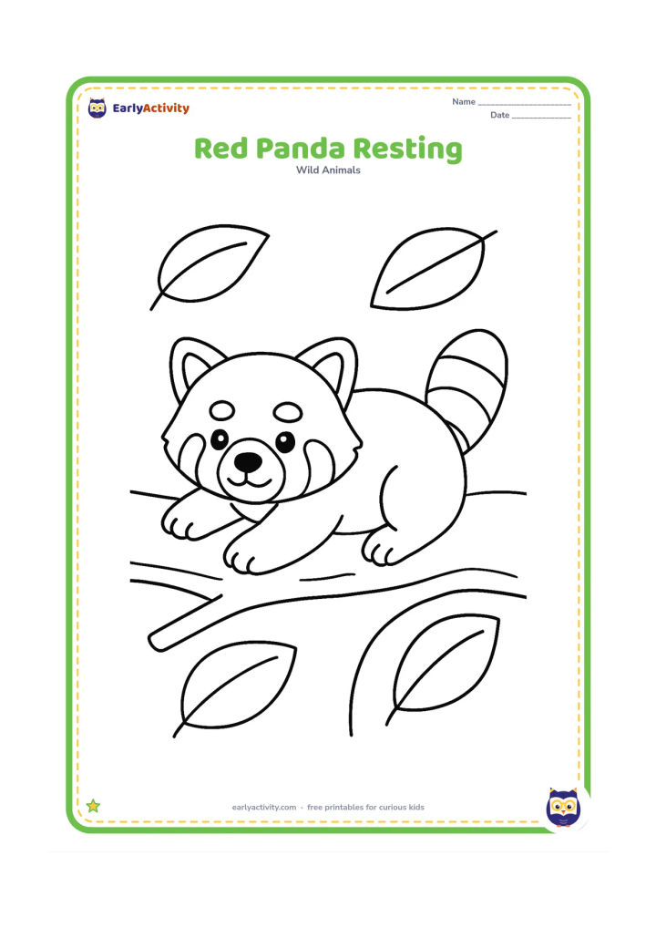 Colouring page: Draw a red panda lying on its belly with its head raised and front paws stretched forward. Add one thick tree branch beneath it and a few oversized leaves around the edges.