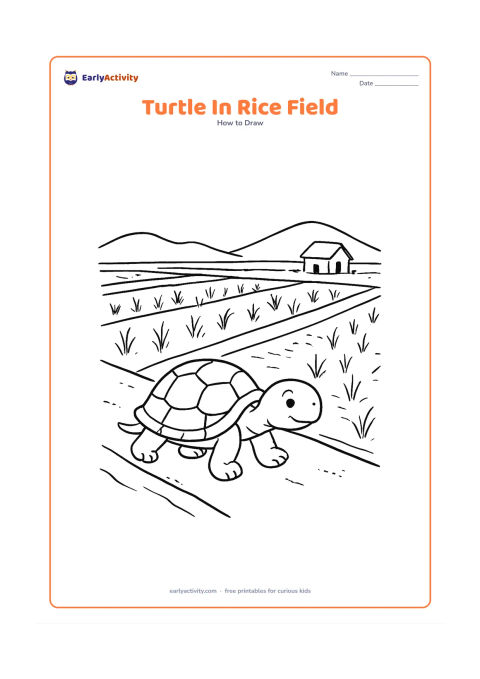 Worksheet: Draw a turtle moving along a narrow raised path beside an Indian rice field, with water channels, young rice plants, a distant farmer's hut and low hills. Show the turtle in a…