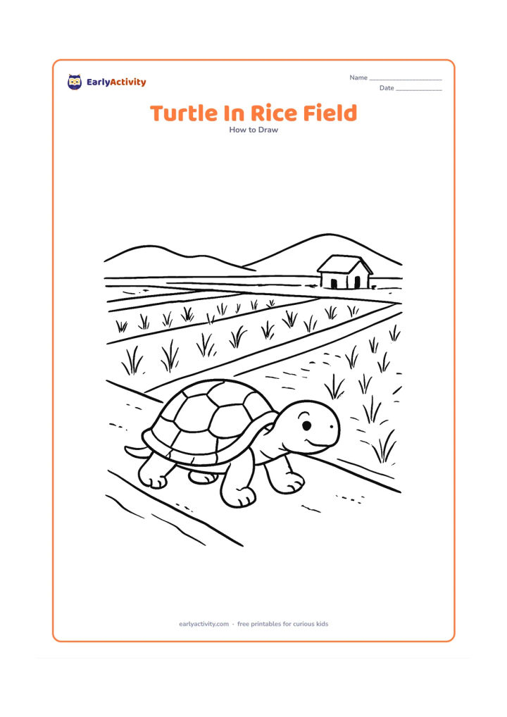 Worksheet: Draw a turtle moving along a narrow raised path beside an Indian rice field, with water channels, young rice plants, a distant farmer's hut and low hills. Show the turtle in a…