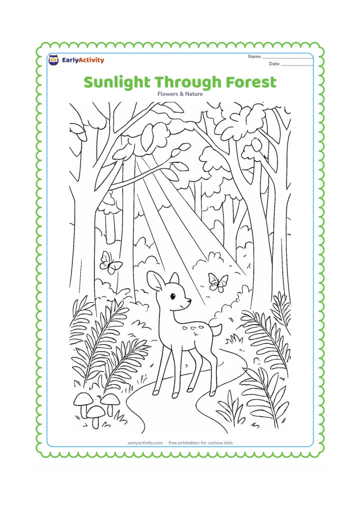 Colouring page: Draw beams of sunlight filtering through a forest canopy onto a winding path, with layered tree trunks, ferns, mushrooms, butterflies and a small deer. Keep the scene peaceful and…