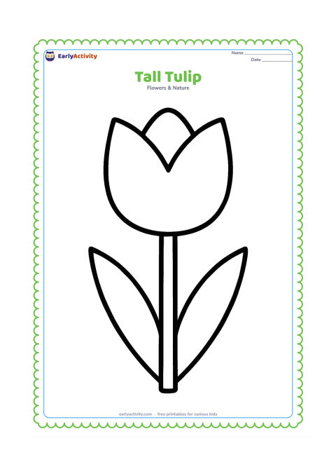 Colouring page: Draw one single tulip with a large cup-shaped bloom, a straight stem and two simple pointed leaves. Centre it on the page with no extra scenery.