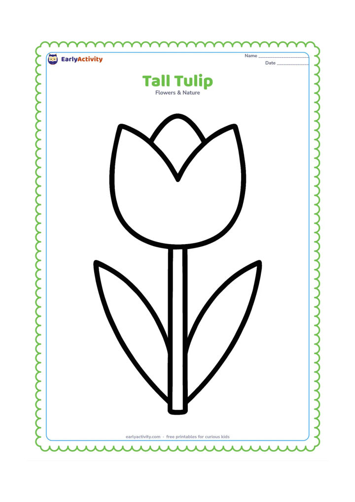 Colouring page: Draw one single tulip with a large cup-shaped bloom, a straight stem and two simple pointed leaves. Centre it on the page with no extra scenery.