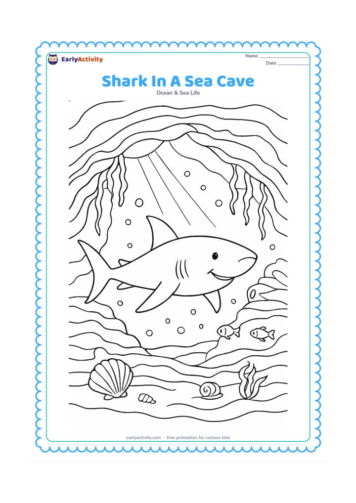 Colouring page: A shark explores a bright sea cave with an opening to the surface, rock layers, hanging sea plants, shells, bubbles and small fish. Add a ray of light entering through the cave opening.