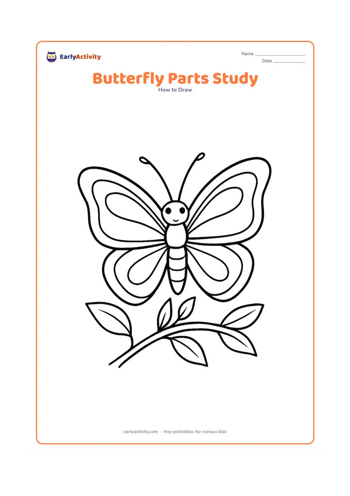 Worksheet: Show a detailed front-facing butterfly with a distinct head, thorax, abdomen, two antennae, six legs and four wings, arranged above a leafy branch. Use blank spaces around each part for…