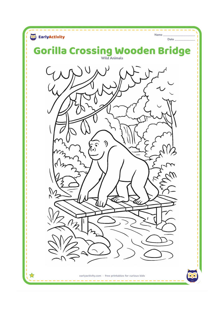 Colouring page: A gorilla walks carefully across a small wooden footbridge over a forest stream, with vines, ferns, rocks and layered trees around it. Include a distant waterfall beyond the bridge.