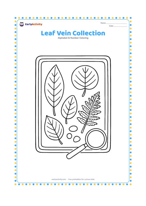 Colouring page: Draw a naturalist's tray holding several different leaves, including a long leaf, a round leaf and a fern-like leaf, with a magnifying glass and small pebbles beside them. Arrange the…