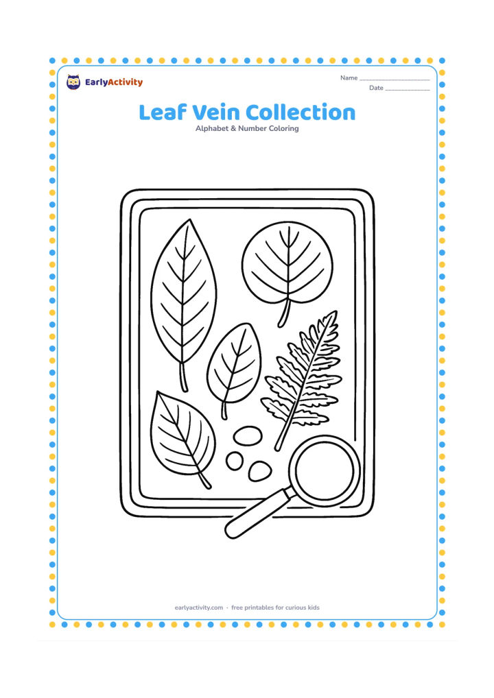 Colouring page: Draw a naturalist's tray holding several different leaves, including a long leaf, a round leaf and a fern-like leaf, with a magnifying glass and small pebbles beside them. Arrange the…