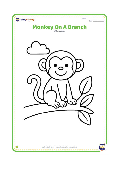 Colouring page: Draw one friendly monkey sitting on a thick low branch, with a long curved tail hanging down. Add two large leaves and a small cloud in the background.