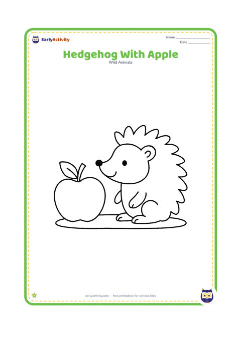 Colouring page: Draw a hedgehog sitting beside one large fallen apple, looking toward it. Include a short curved stem, two simple leaves and a plain ground patch.