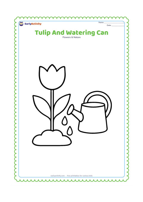 Colouring page: Draw one large tulip in soil beside a simple watering can with a wide spout and a few large water drops falling toward the ground. Include two broad leaves.