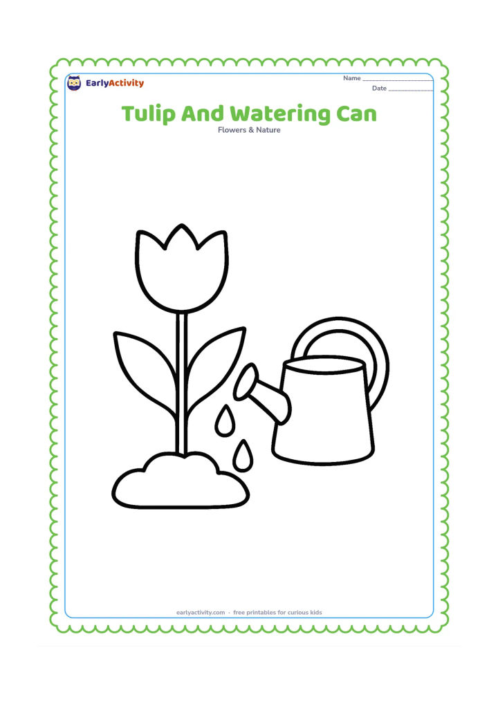 Colouring page: Draw one large tulip in soil beside a simple watering can with a wide spout and a few large water drops falling toward the ground. Include two broad leaves.