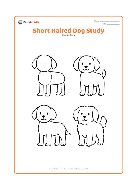 Worksheet: Show two blank, unlabeled drawing areas: one develops a short-haired standing dog from construction shapes, while the other develops a fluffy dog with a fuller outline. Add simple facial…