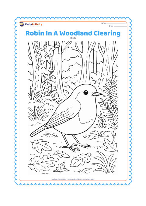 Colouring page: Draw a robin standing in a detailed woodland clearing with layered tree trunks, ivy, ferns, grasses, fallen leaves and a few distant rocks. Place the bird prominently in the foreground.