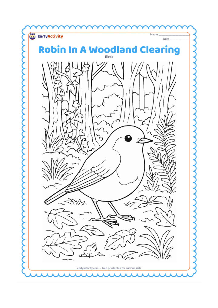Colouring page: Draw a robin standing in a detailed woodland clearing with layered tree trunks, ivy, ferns, grasses, fallen leaves and a few distant rocks. Place the bird prominently in the foreground.