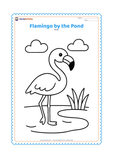 Colouring page: Draw a flamingo standing beside a shallow pond with a broad water edge, two rounded clouds and a few large grass blades. Keep the bird large in the centre of the page.