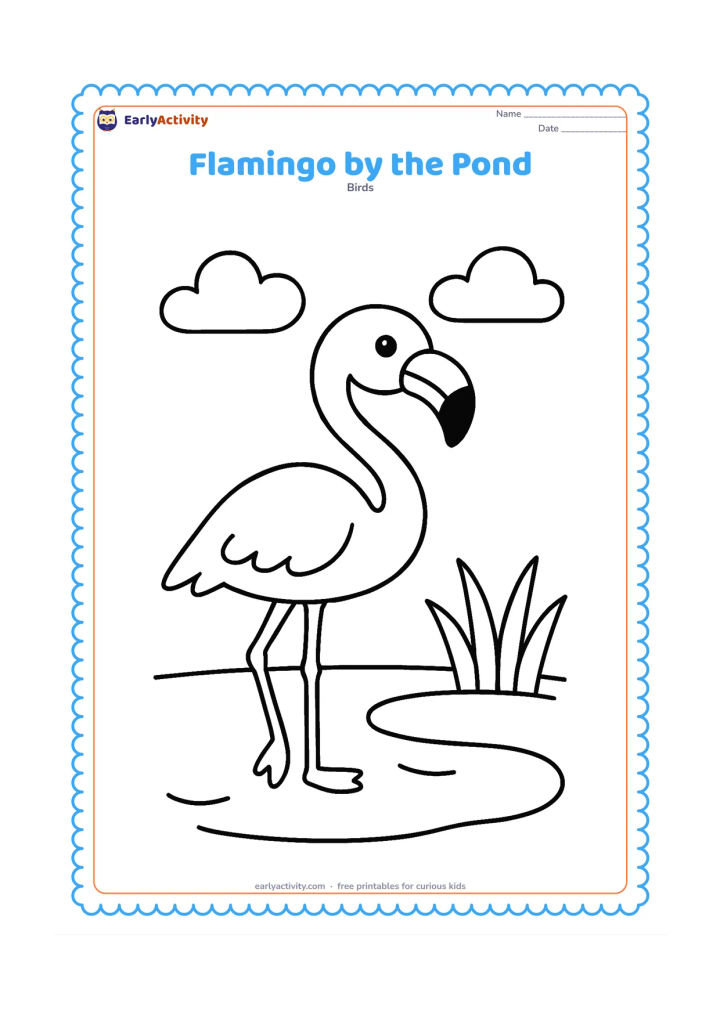Colouring page: Draw a flamingo standing beside a shallow pond with a broad water edge, two rounded clouds and a few large grass blades. Keep the bird large in the centre of the page.