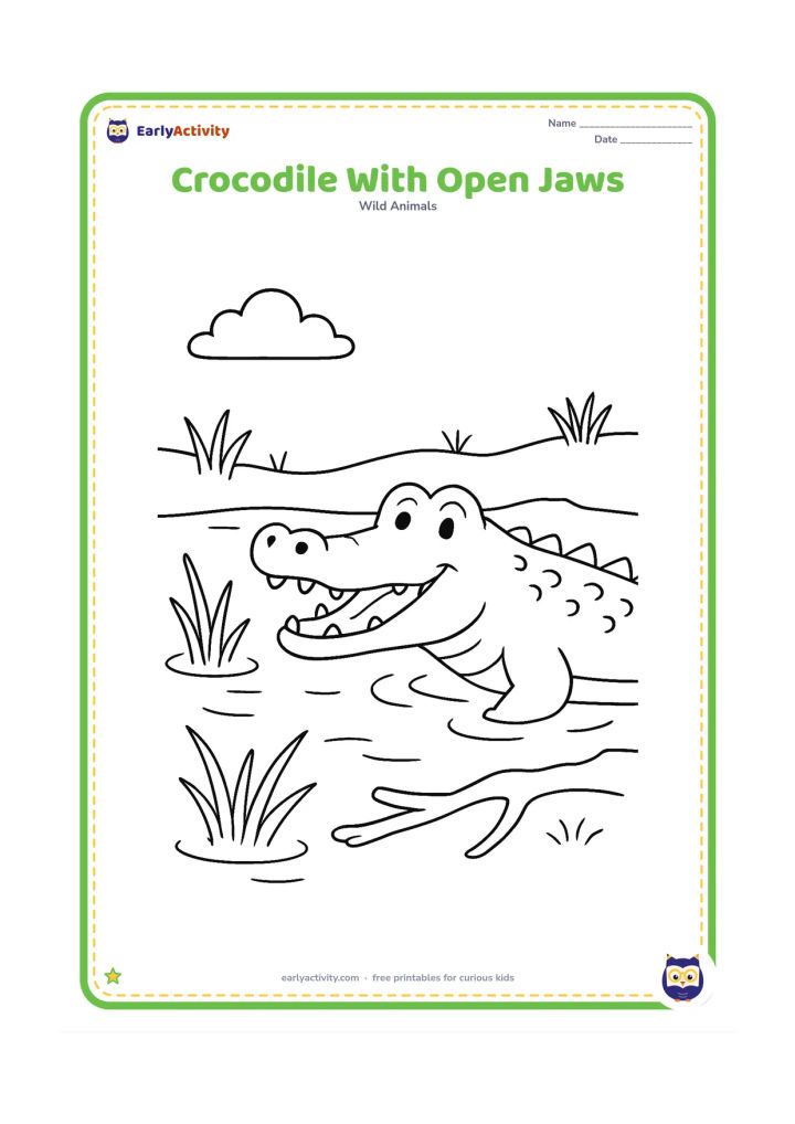 Colouring page: Draw a side-view crocodile floating near the bank with its jaws gently open, showing distinct rounded teeth and a visible tongue. Add a few water plants, ripples, and a fallen branch.