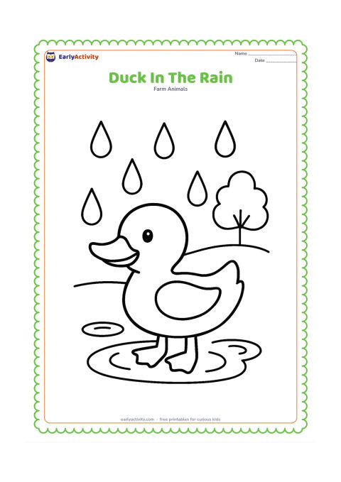Colouring page: A duck stands in a shallow puddle while large raindrops fall around it. Include a simple umbrella-shaped tree in the distance and three puddle ripples.