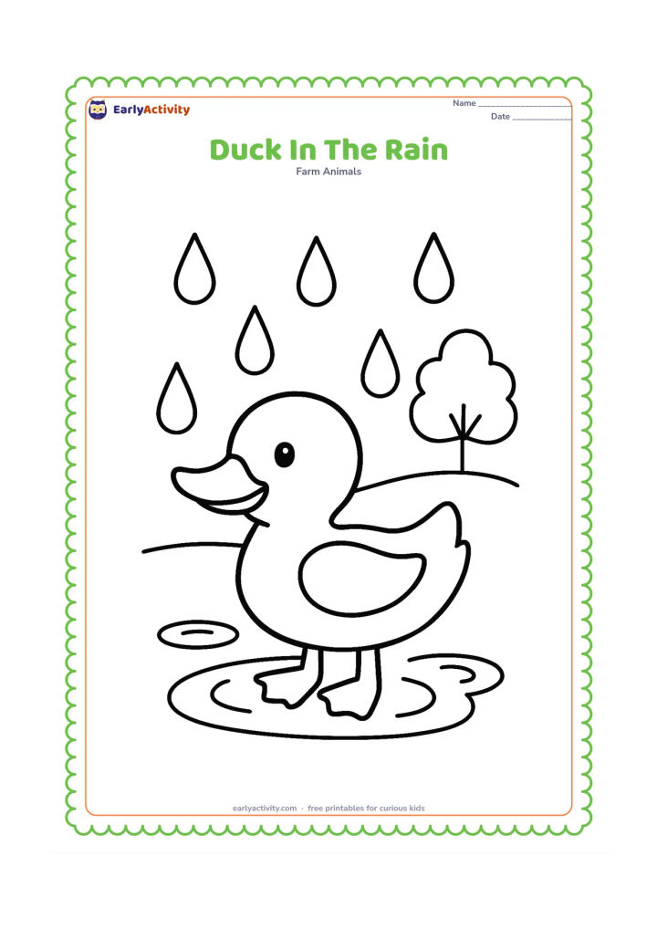 Colouring page: A duck stands in a shallow puddle while large raindrops fall around it. Include a simple umbrella-shaped tree in the distance and three puddle ripples.