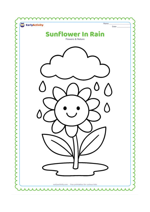 Colouring page: A cheerful sunflower with a broad bloom and two leaves stands beneath a small cloud as large raindrops fall around it. Add a simple puddle line at the bottom.