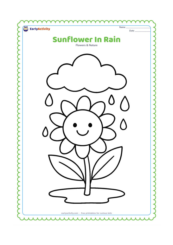 Colouring page: A cheerful sunflower with a broad bloom and two leaves stands beneath a small cloud as large raindrops fall around it. Add a simple puddle line at the bottom.
