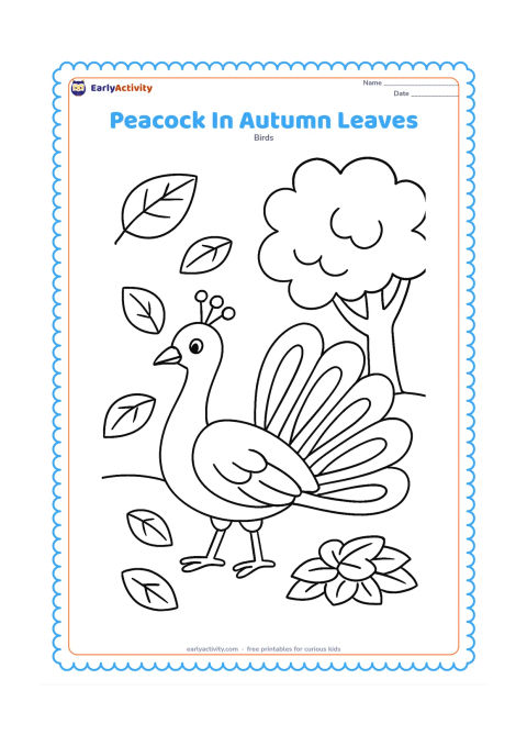 Colouring page: A peacock walks through a garden with falling broad leaves, a tree, and a small pile of leaves on the ground. His tail remains folded and divided into individual feathers.