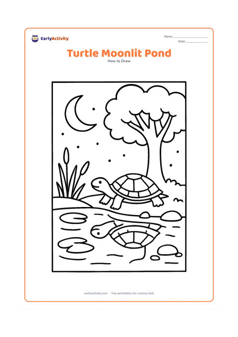 Worksheet: Draw a pond turtle resting on a moonlit bank beneath a large tree, with its reflection in the water. Add reeds, lotus leaves, smooth stones, fireflies shown as tiny glowing dots and a…